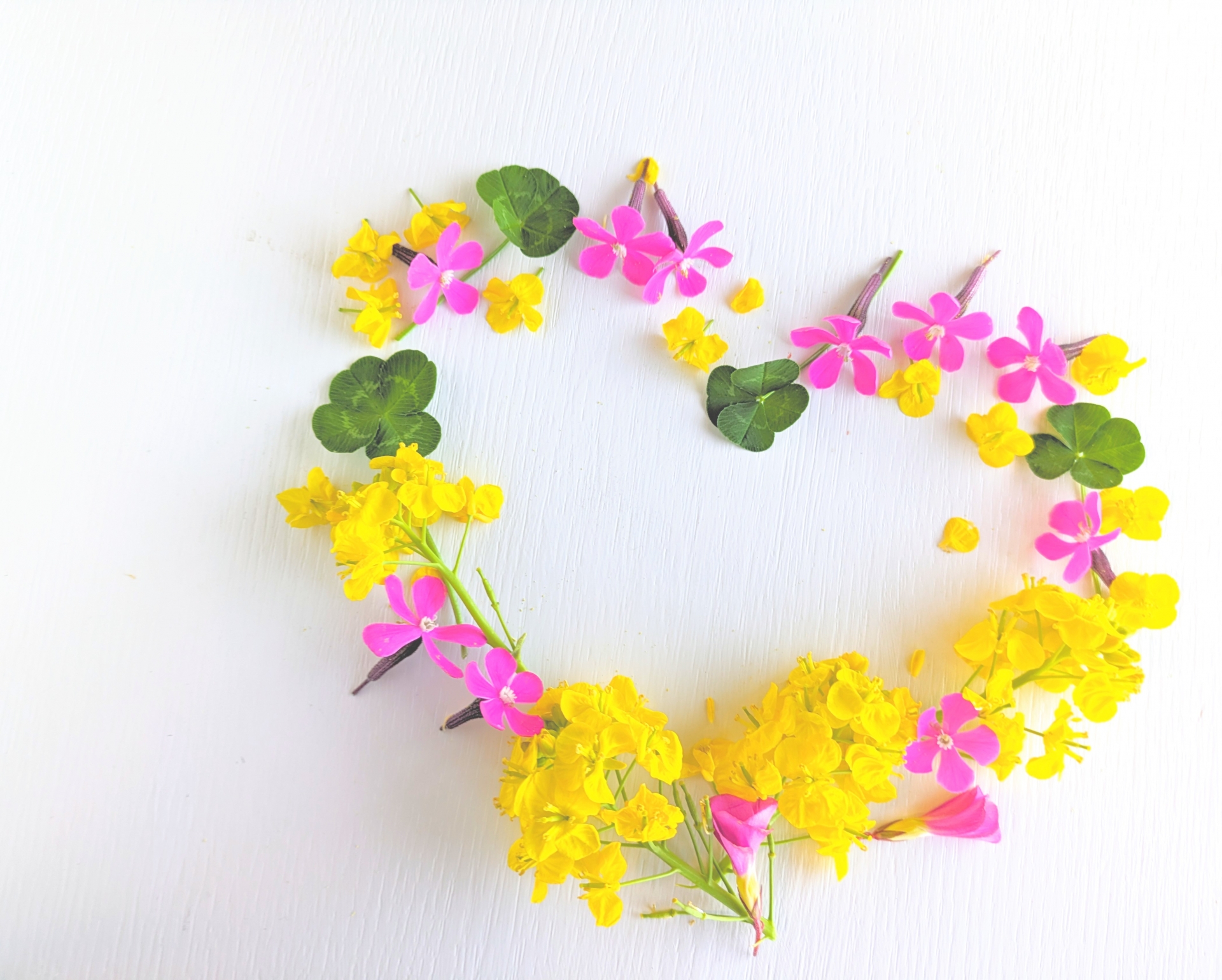 花井歯科クリニック の写真