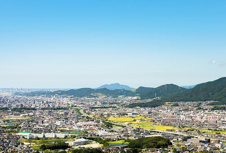 公式案内画像
