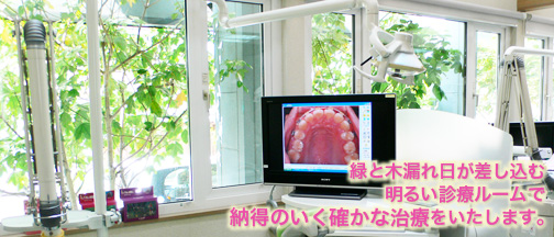 公式案内画像