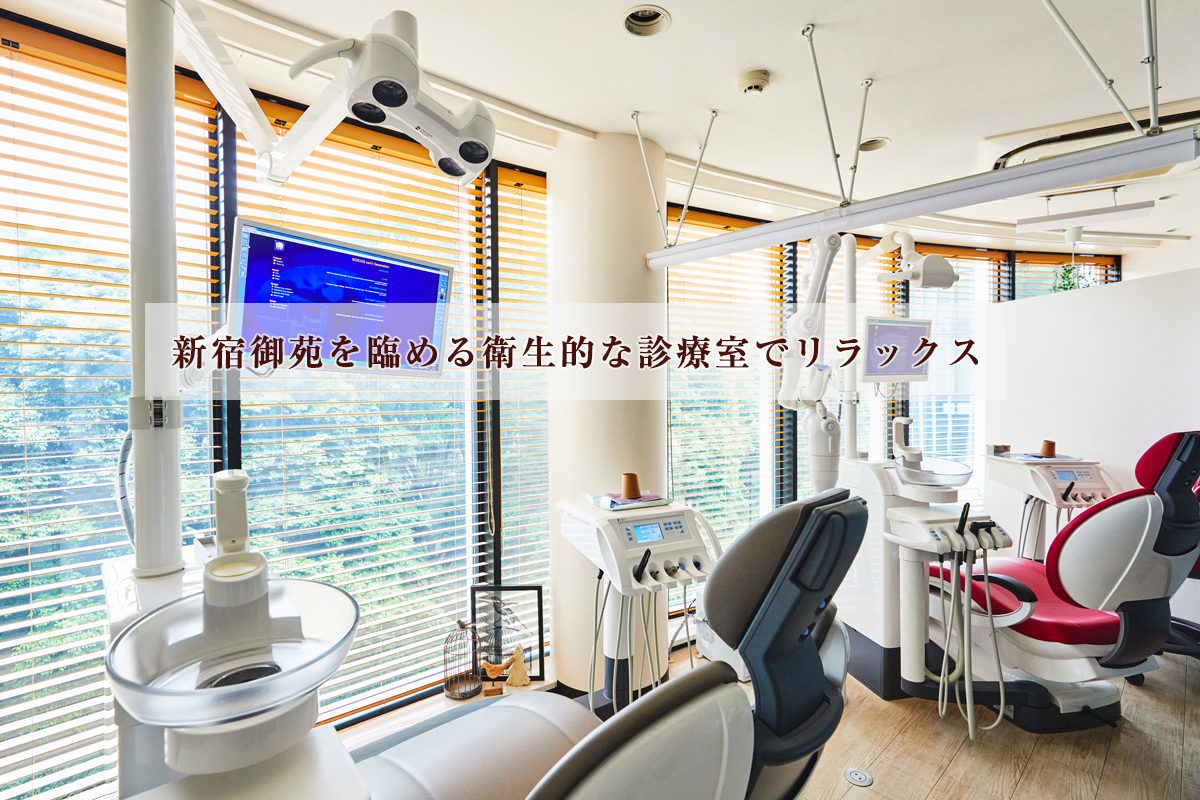 公式案内画像