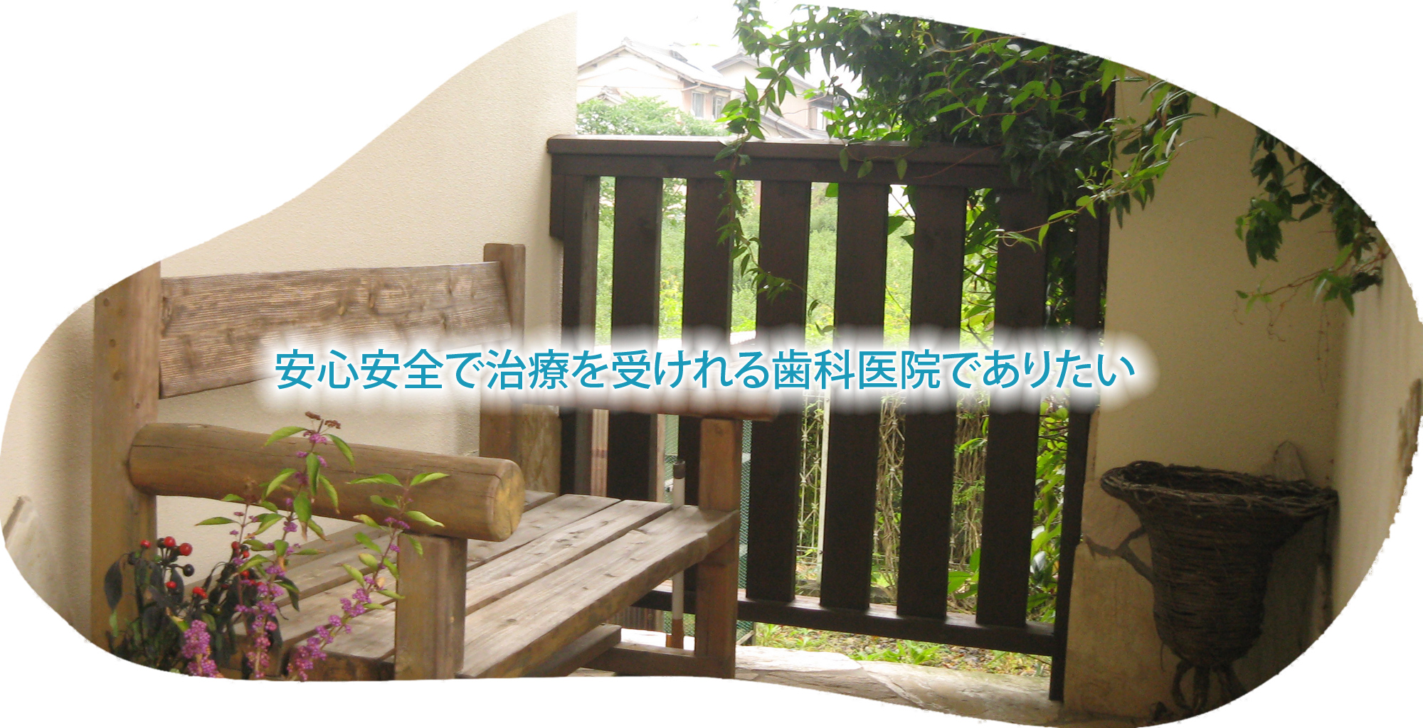 公式案内画像