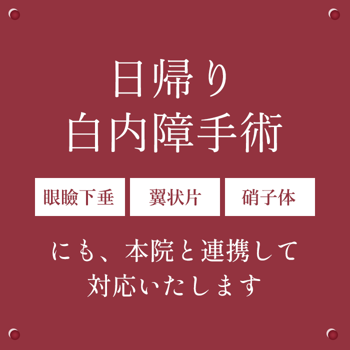 公式案内画像