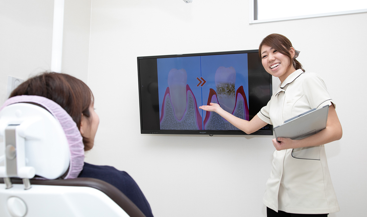 公式案内画像