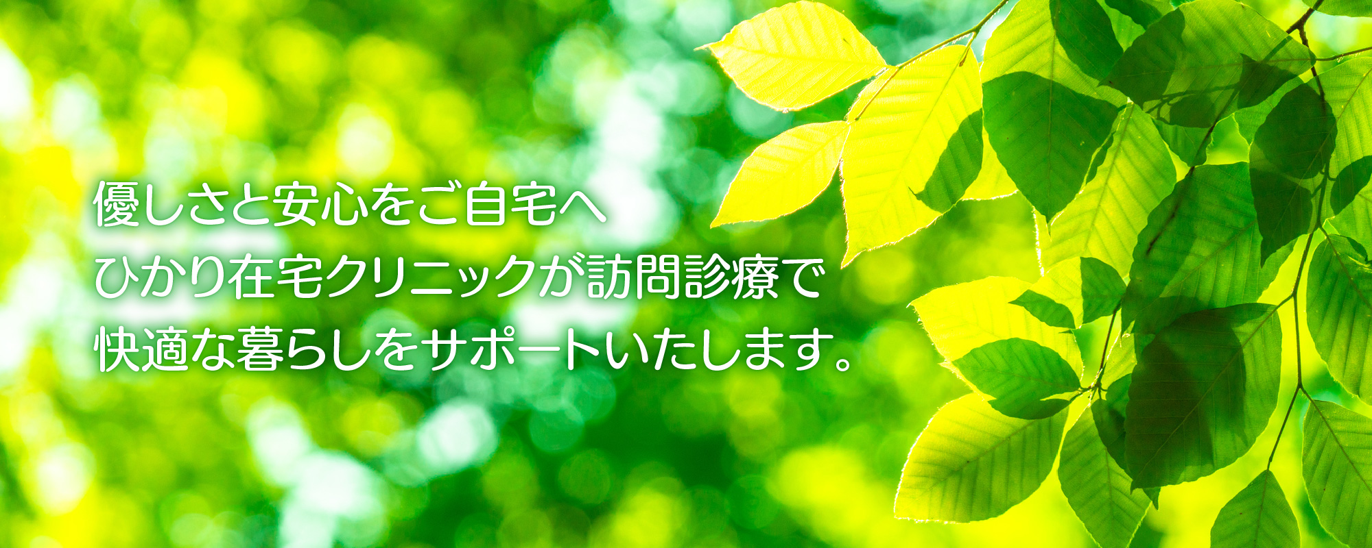 公式案内画像
