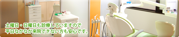 公式案内画像