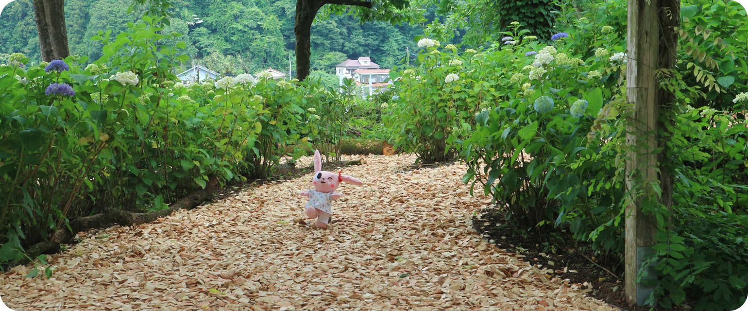 日の出ヶ丘病院 の写真