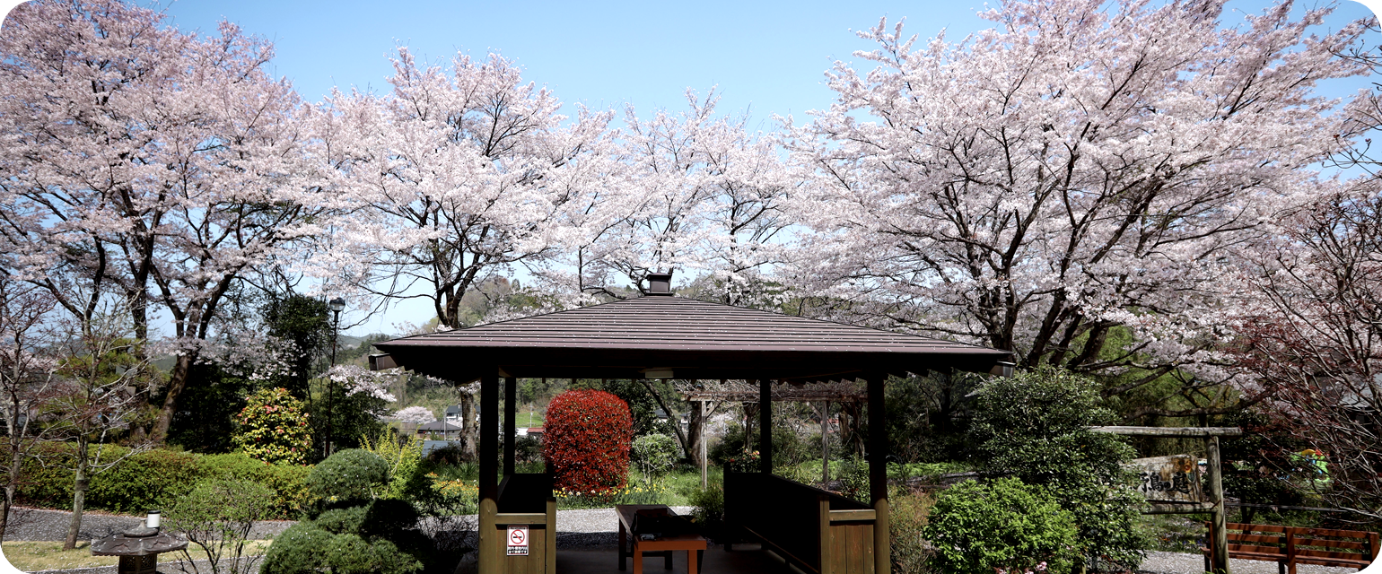 公式トップに掲載される、桜と東屋のあるリハビリガーデン