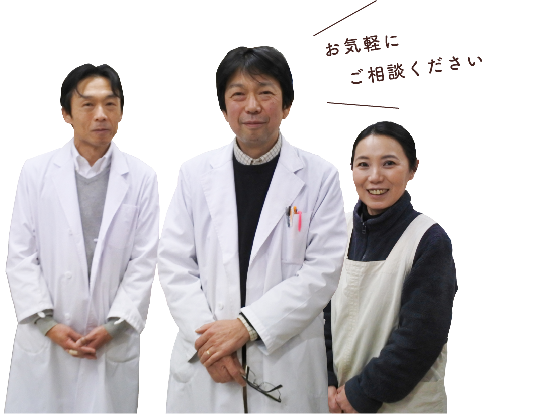 公式案内画像