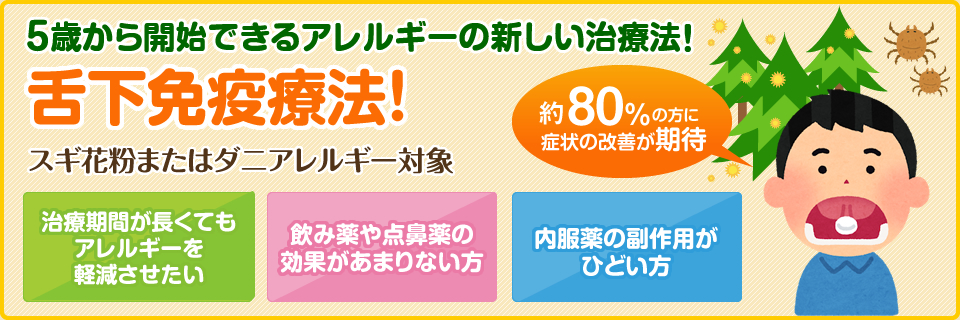 公式案内画像