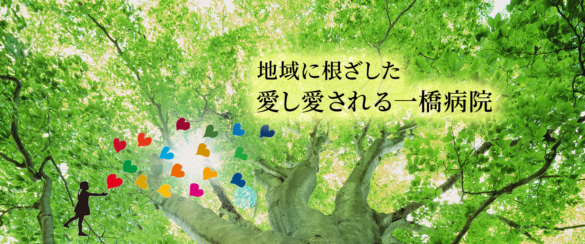 公式代表画像