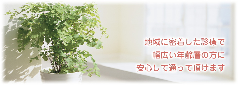 公式案内画像