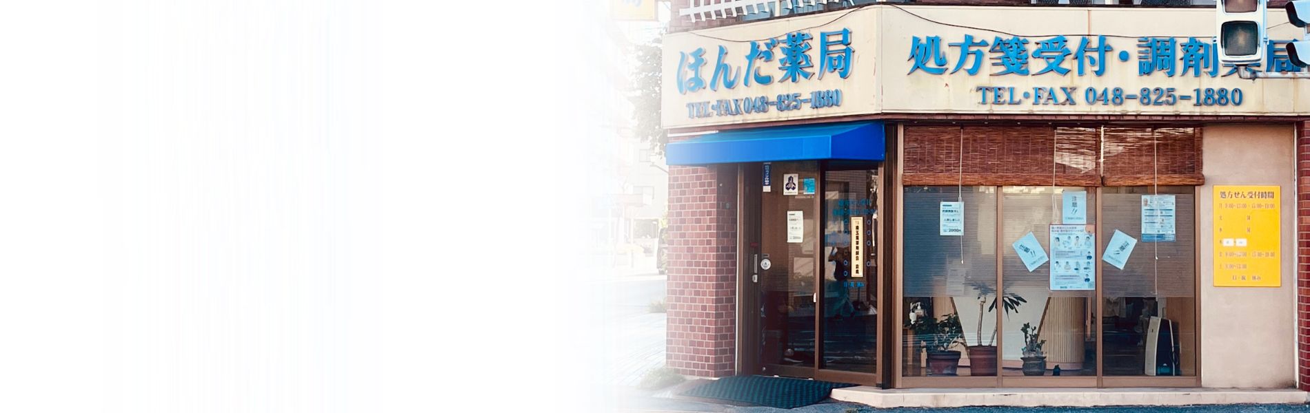 公式案内画像