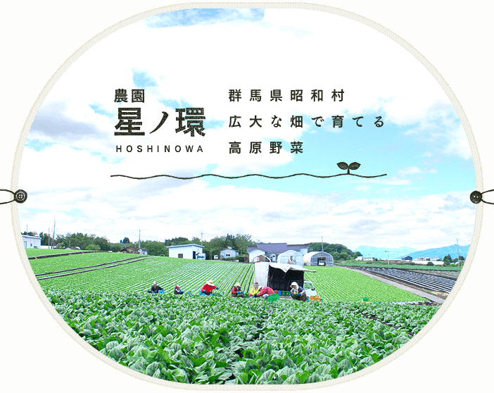 公式案内画像