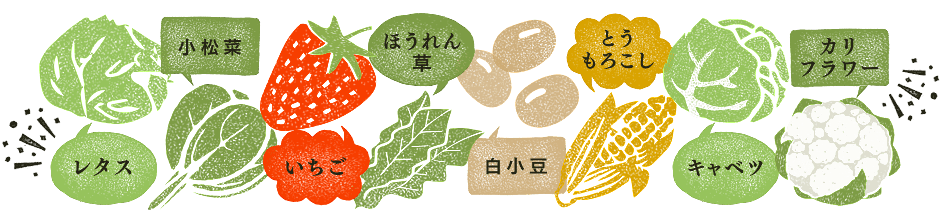 農園星ノ環 の写真