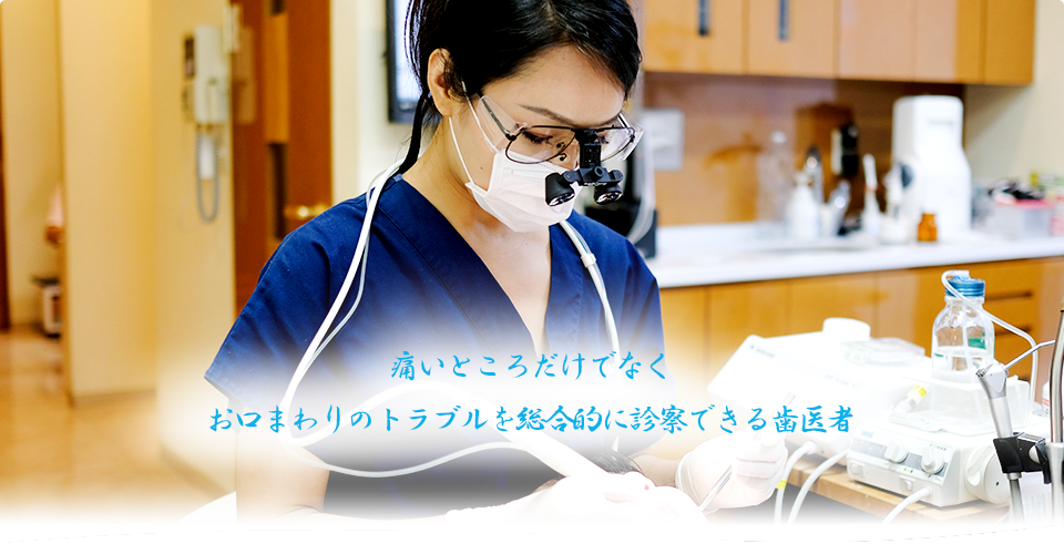公式案内画像