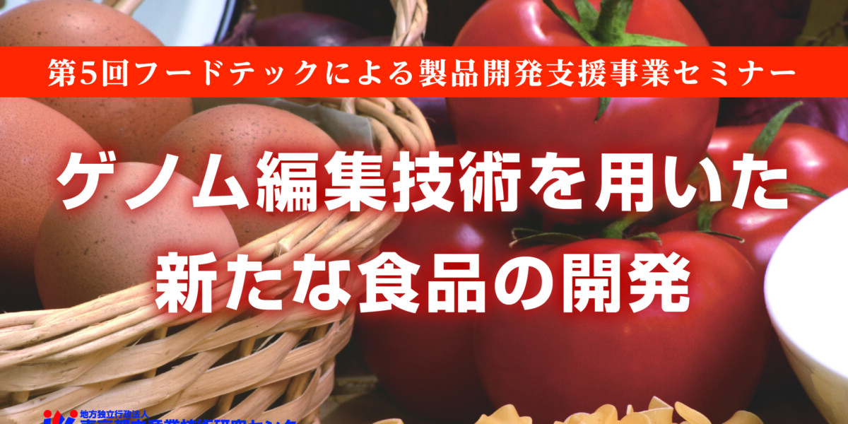 公式案内画像