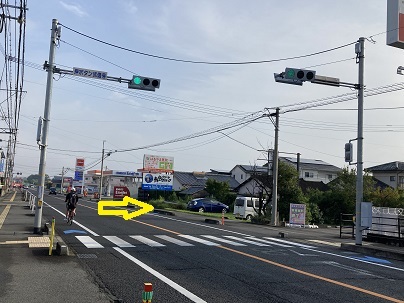 公式案内画像