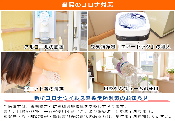 公式案内画像