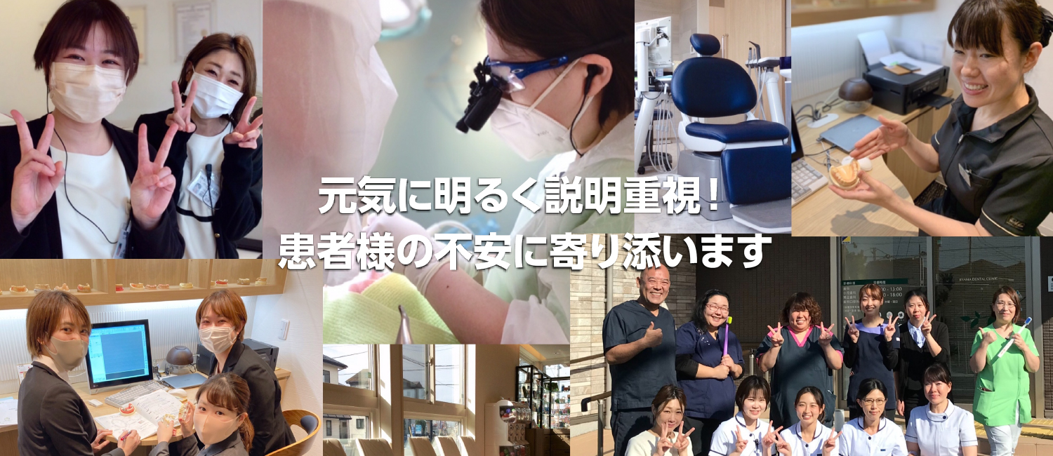 公式案内画像