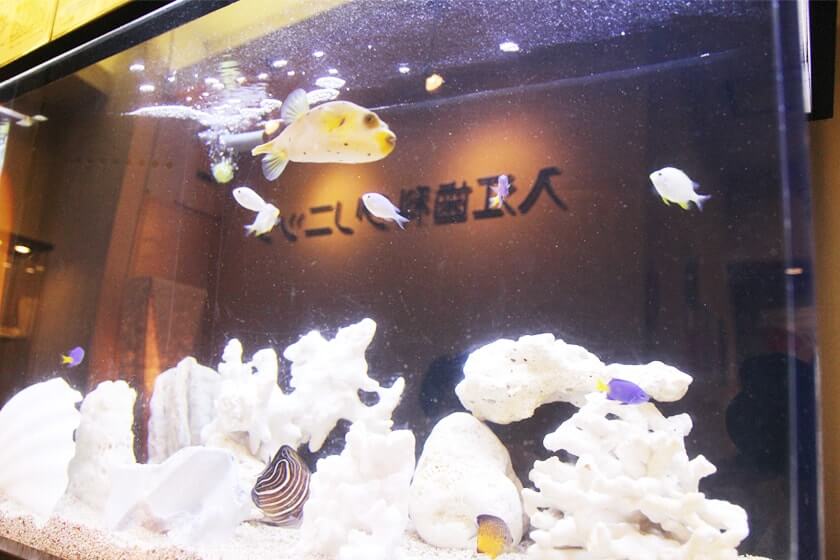 公式案内画像