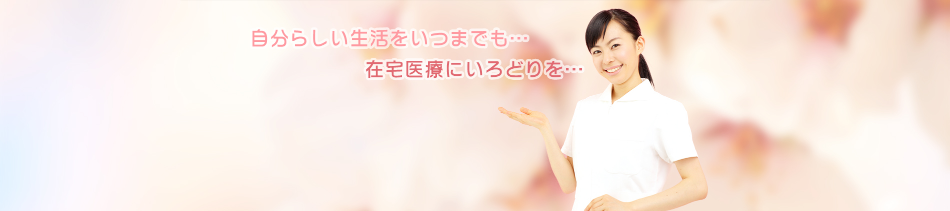 公式案内画像