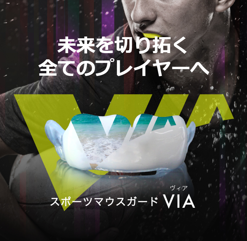 公式案内画像