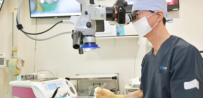 公式案内画像