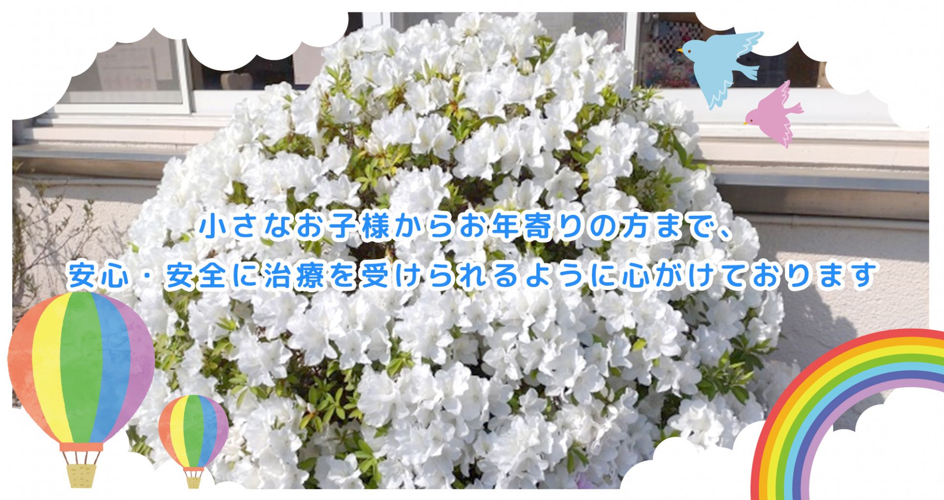 公式案内画像