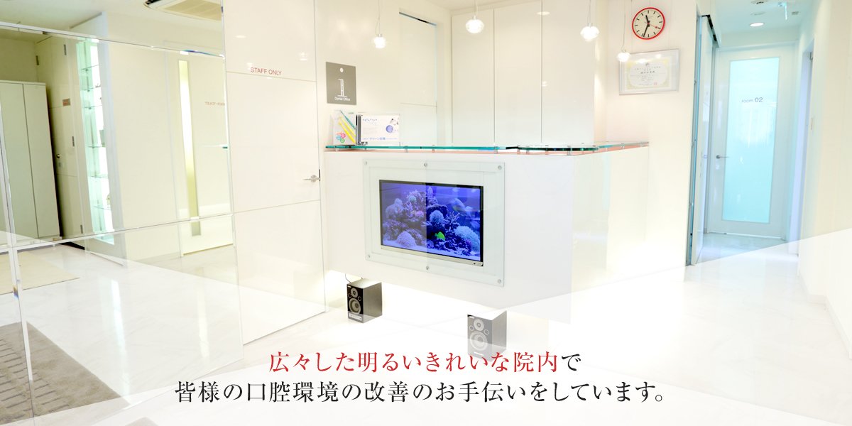 公式案内画像