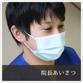 公式案内画像