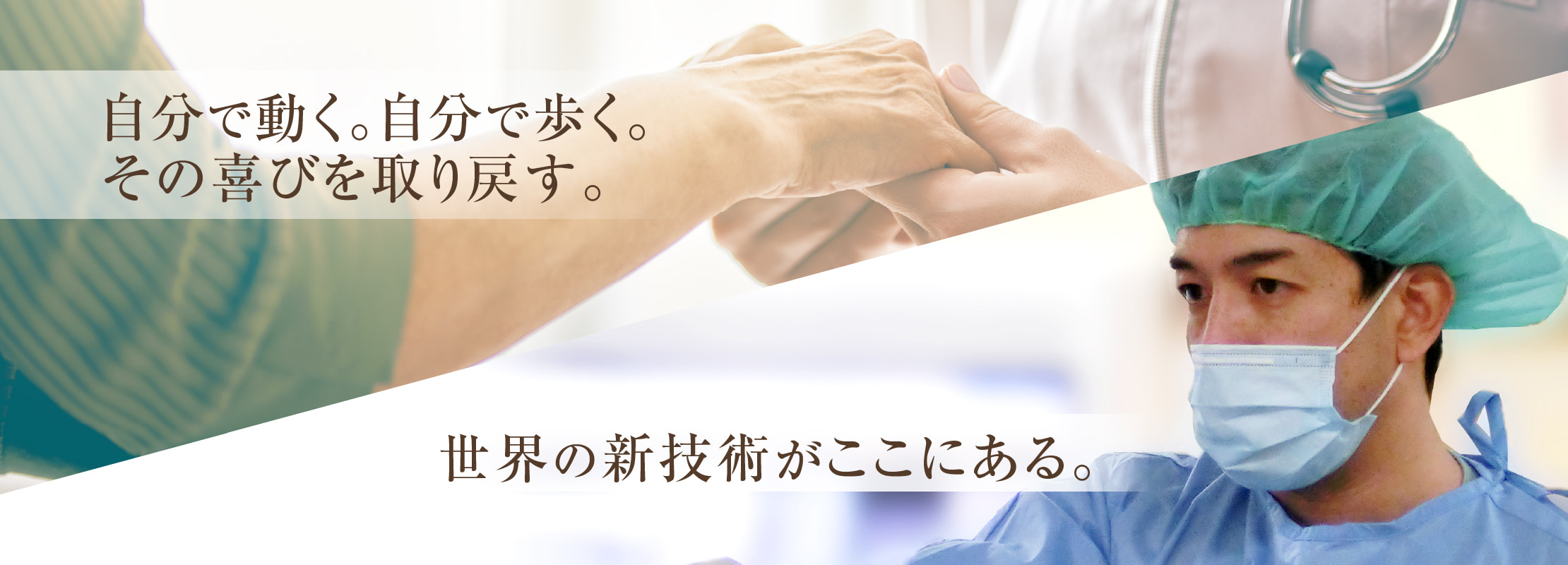 あいちせぼね病院 の写真