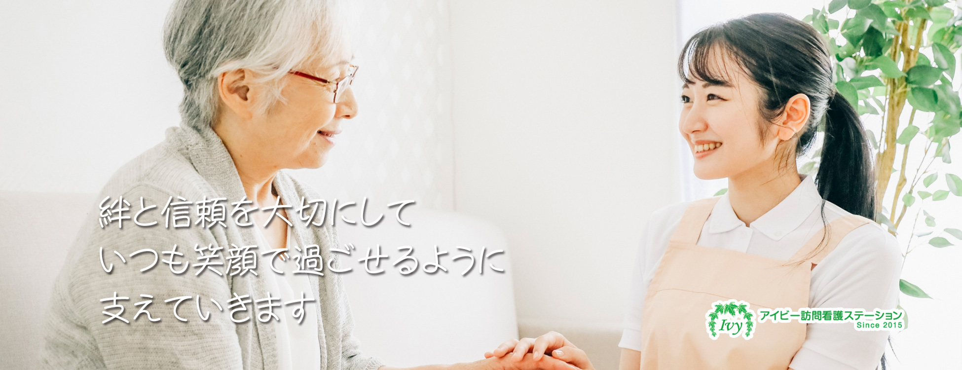 公式案内画像