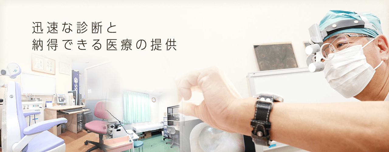 医療法人かくいわ会 岩野耳鼻咽喉科サージセンター の写真