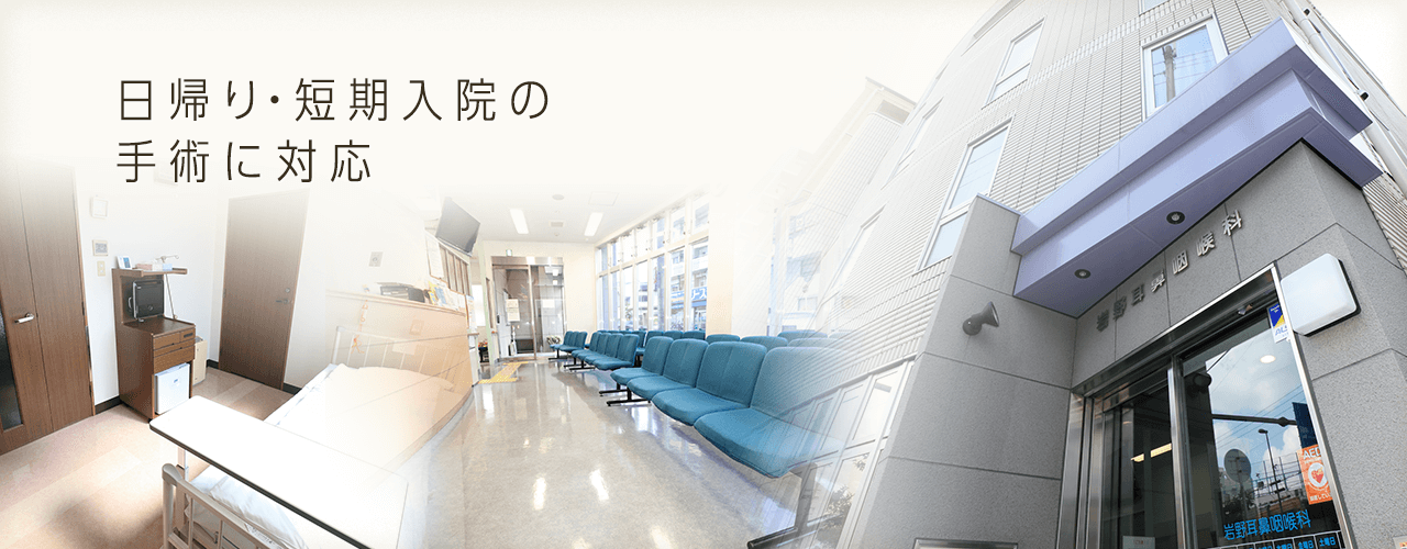 公式案内画像