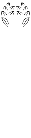 岩の井 岩瀬酒造