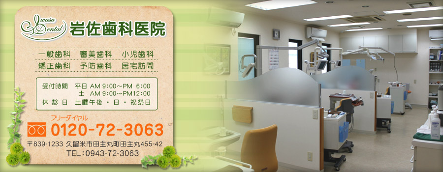 公式案内画像