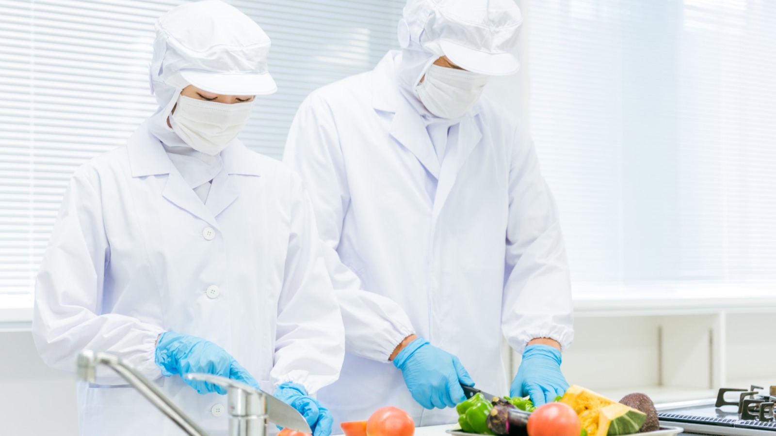 食品衛生調査事業
