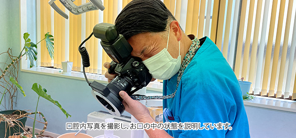 公式案内画像