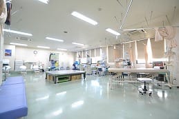 公式案内画像