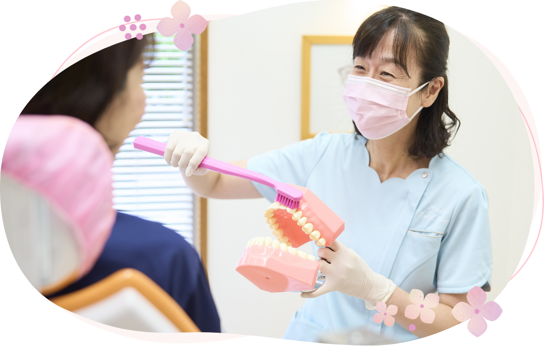 公式案内画像