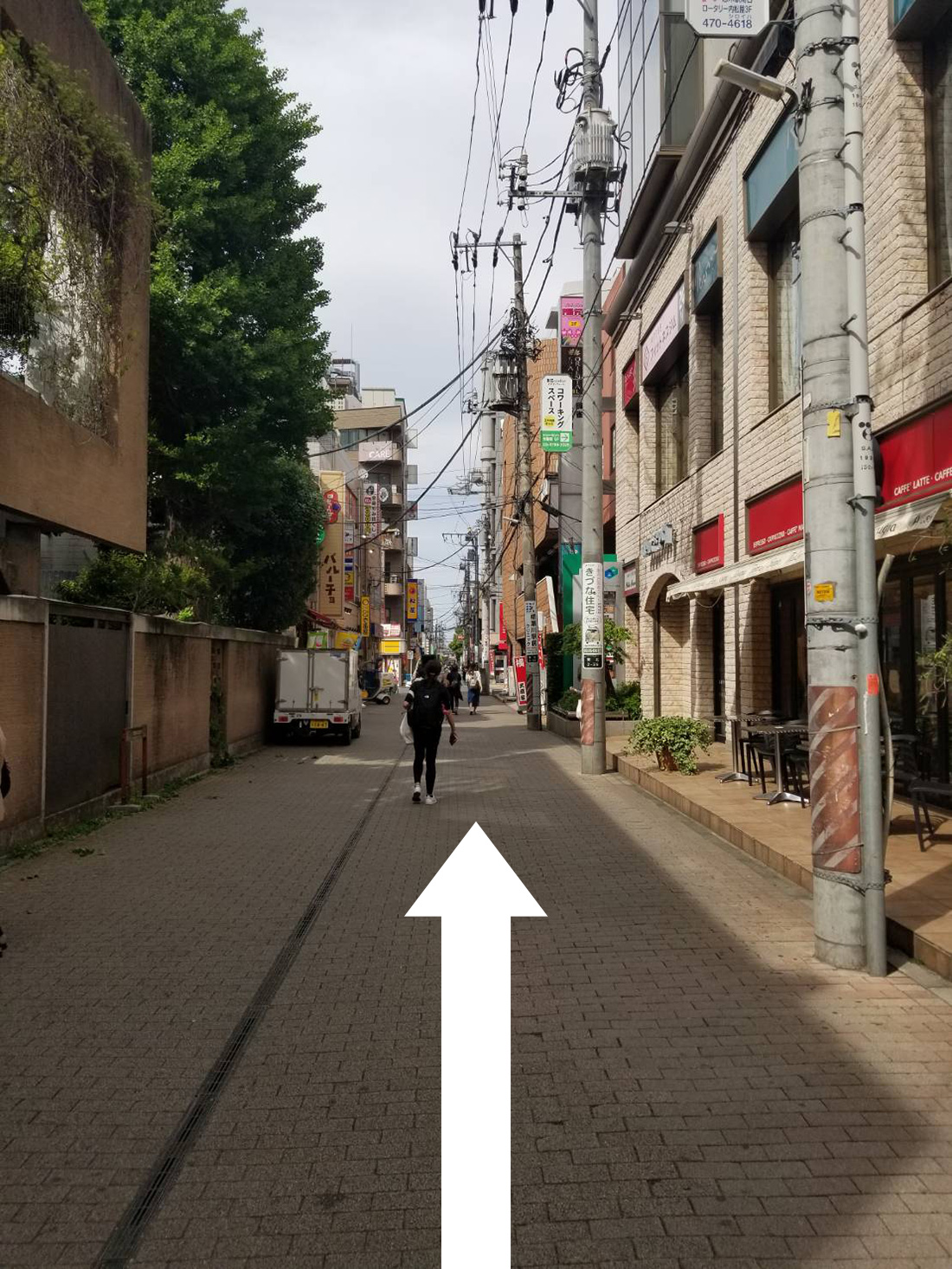 公式案内画像
