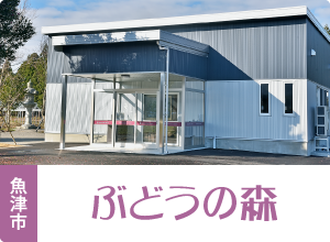 魚津市 ぶどうの森