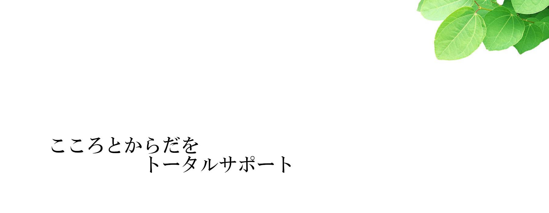 公式案内画像
