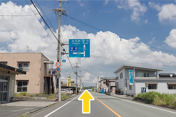 公式案内画像