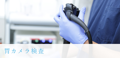 公式案内画像