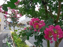 公式案内画像