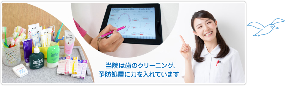 公式案内画像