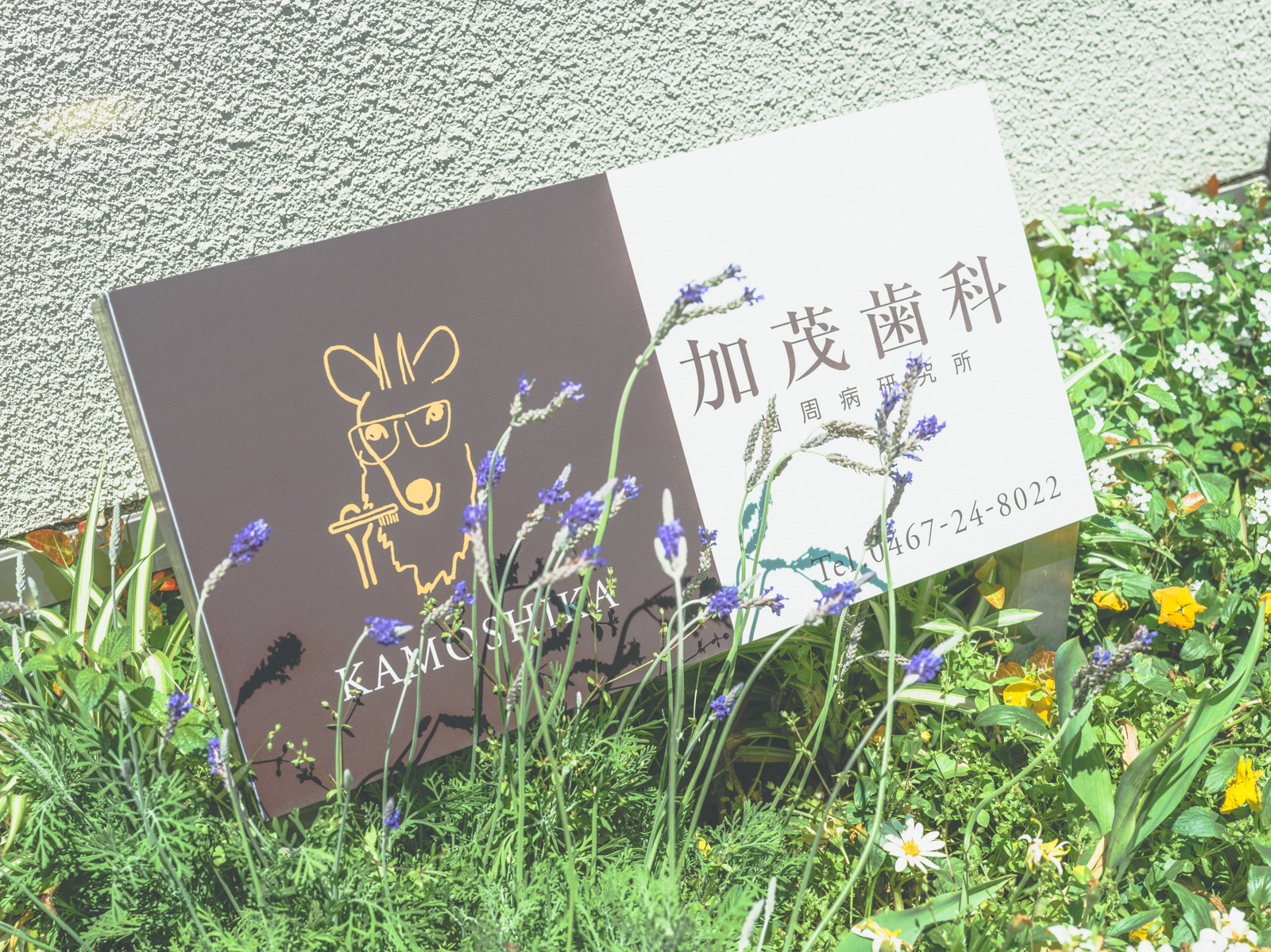 公式案内画像