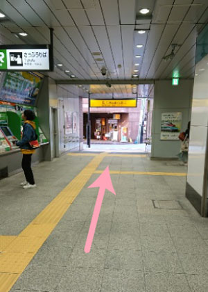 公式案内画像