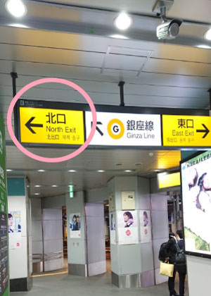 公式案内画像